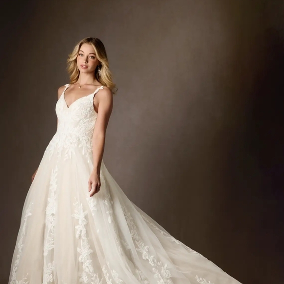 Elegant Lace Wedding Dress - Picture 9 of 9